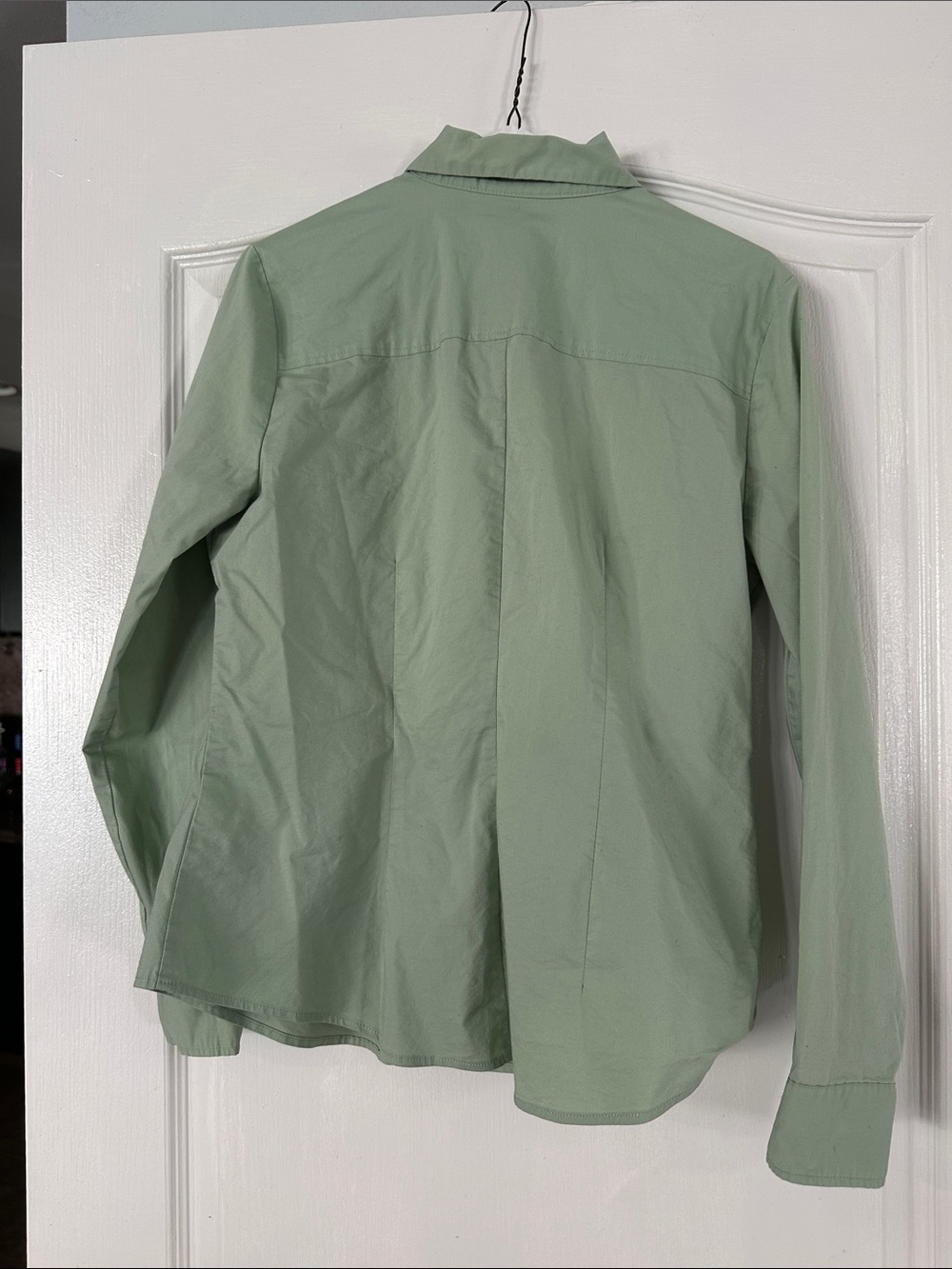 Light Green Classic Button-Down Shirt for Women - Picture 4 of 4